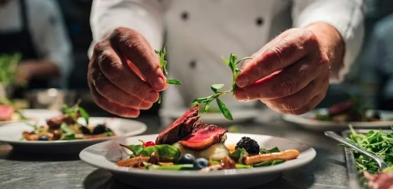Newsletter The French Cuisine