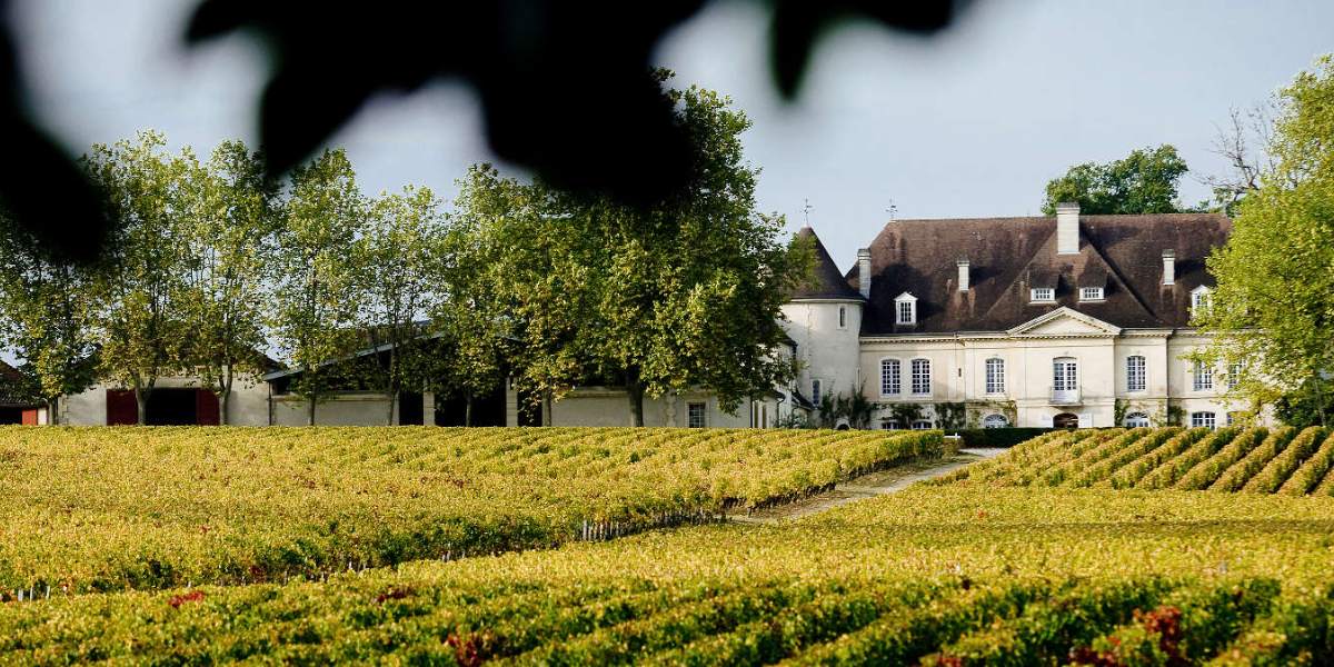 Château Bouscaut