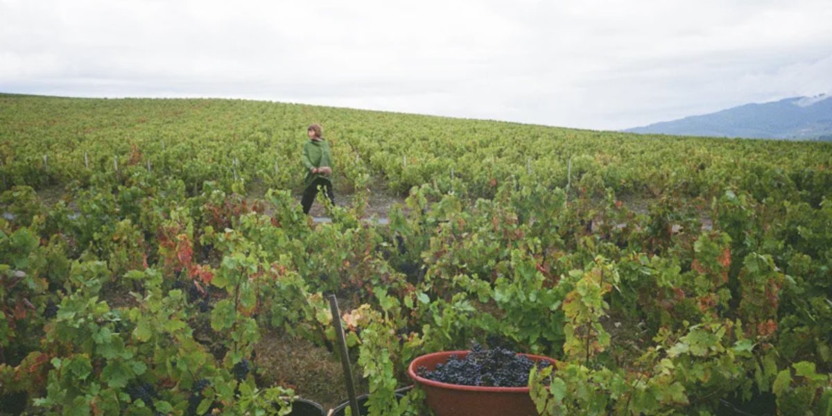 Jean Foillard